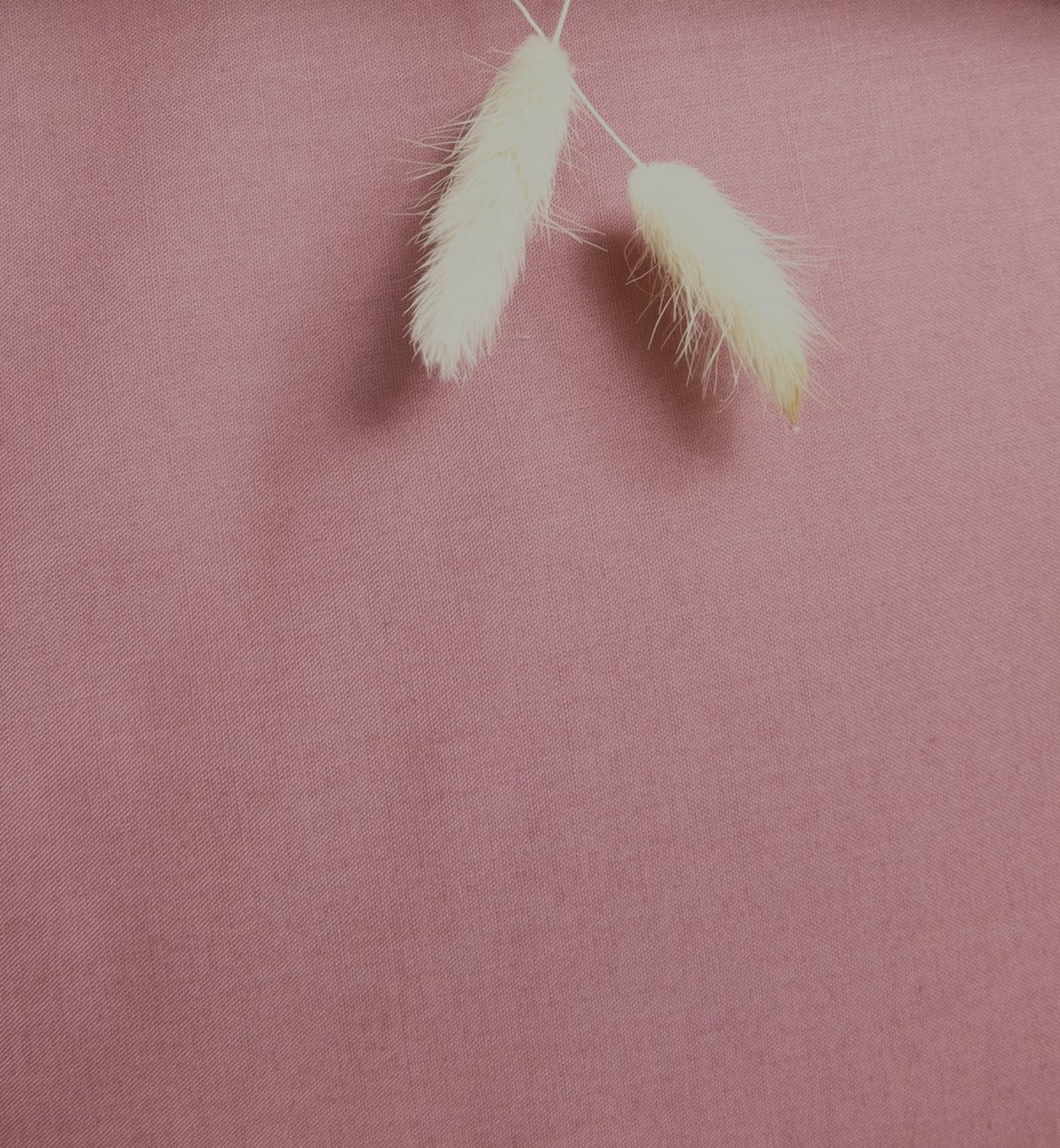 Taie d'oreiller Adulte Coton Bio couleurs aux choix