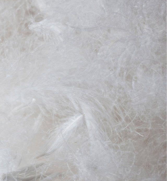 Nórdico adulto hecho de plumón de pluma de pato