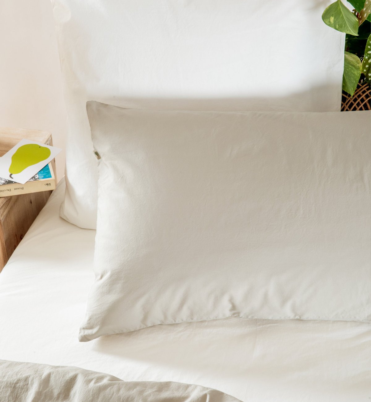 Pillowcase in washed organic cotton percale