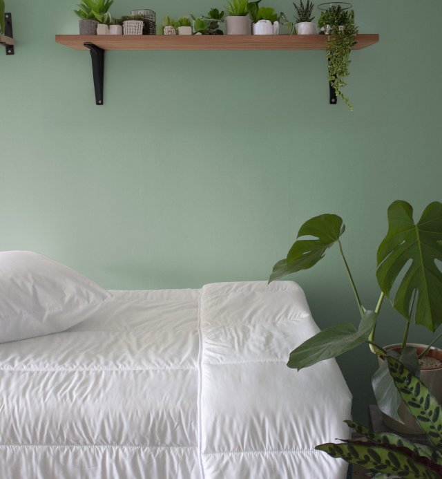 Edredão para adultos - quente ou leve -TENCEL™ Algodão orgânico - 220x240 - 240x260cm