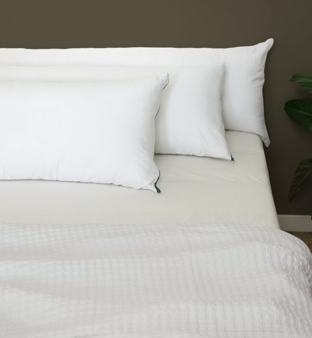 Oreiller traversin - adulte - en TENCEL™ et Coton Bio et chanvre Hawi
