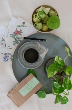 Organic Herbal tea Verbena in bags (x20)