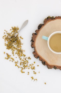 Organic Chamomile Matricaria Herbal Tea in bulk