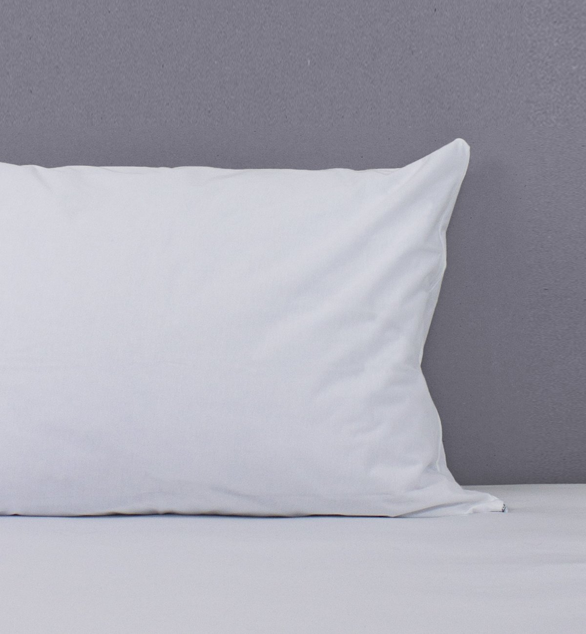 Pillow protector in Organic Cotton and breathable polyurethane Kadolis