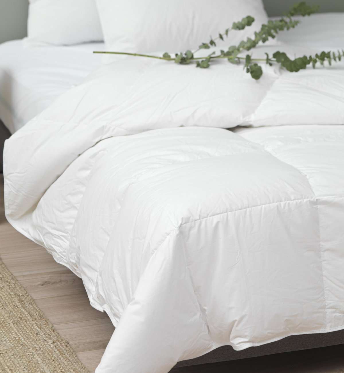 Couette adulte en duvet de plume de canard