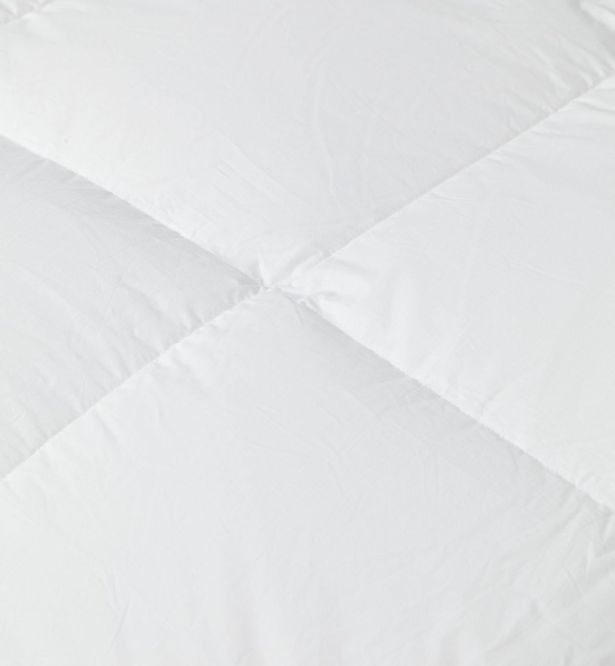 Couette adulte en duvet de plume de canard