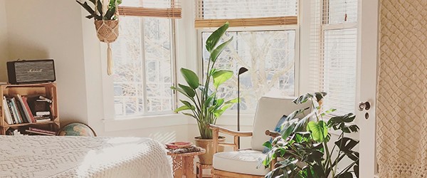 Ambiance relaxante dans la chambre grâce aux plantes