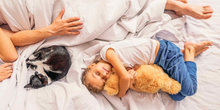 What should we think of the preconceived ideas about sleep? Kadolis What should we think of the preconceived ideas about sleep? Kadolis