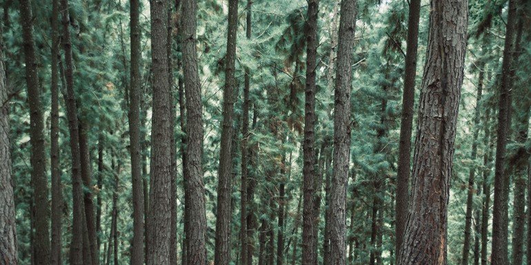 Dormire meglio su un materasso organico Kadolis