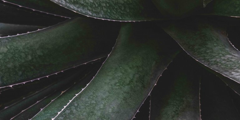 Les matières naturelles au service de votre peau Kadolis